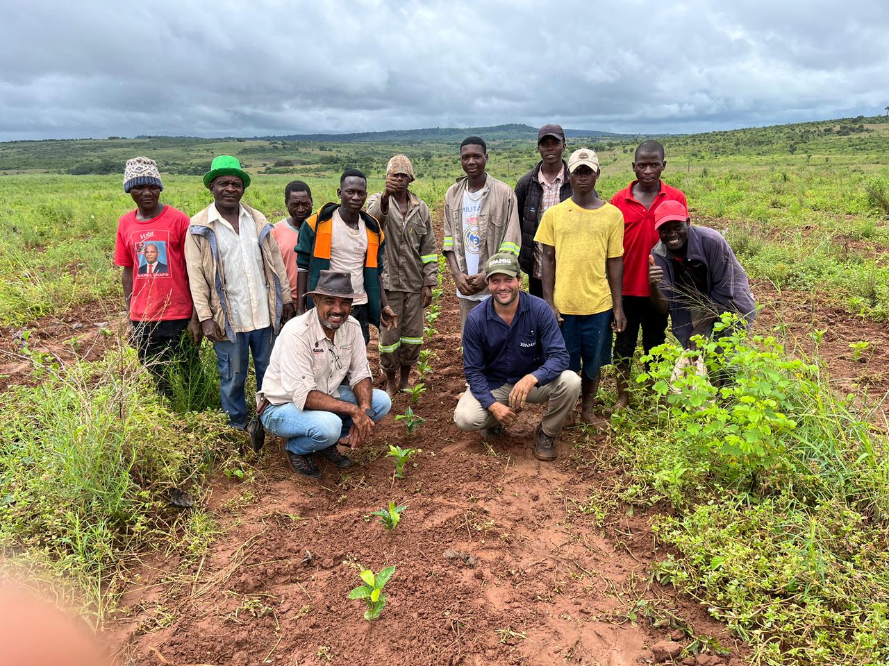 epamig-atua-no-desenvolvimento-sustentavel-da-cafeicultura-de-mocambique