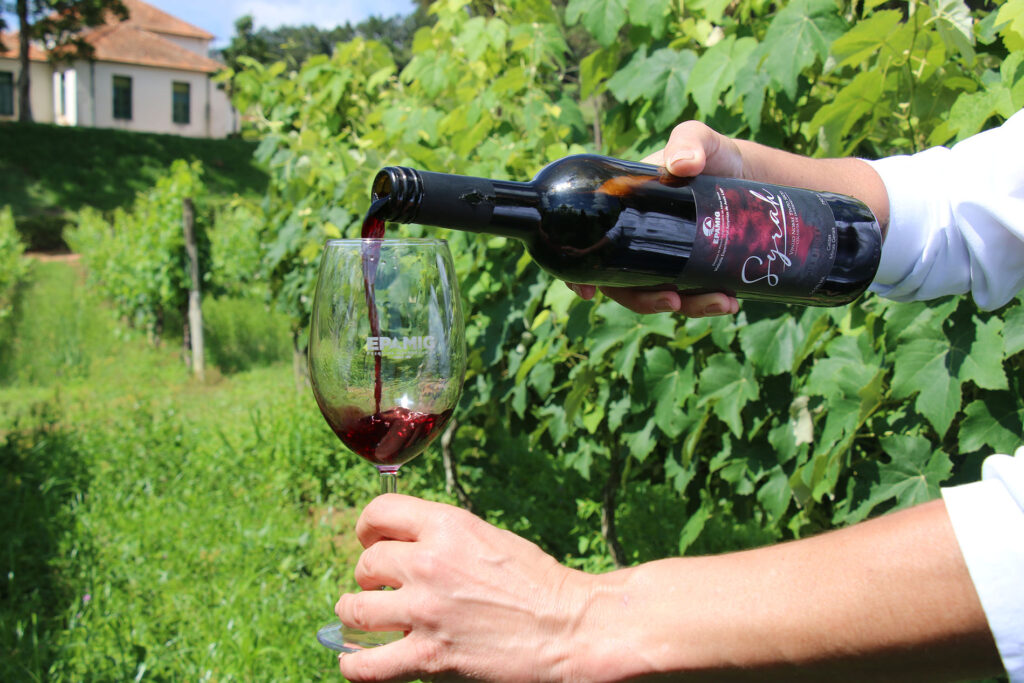 vinhos-de-colheita-de-inverno-de-minas-gerais-sao-destaque-no-decanter-world-wine-awards-2026